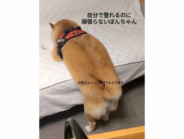 提供:natsumi.nnnさん