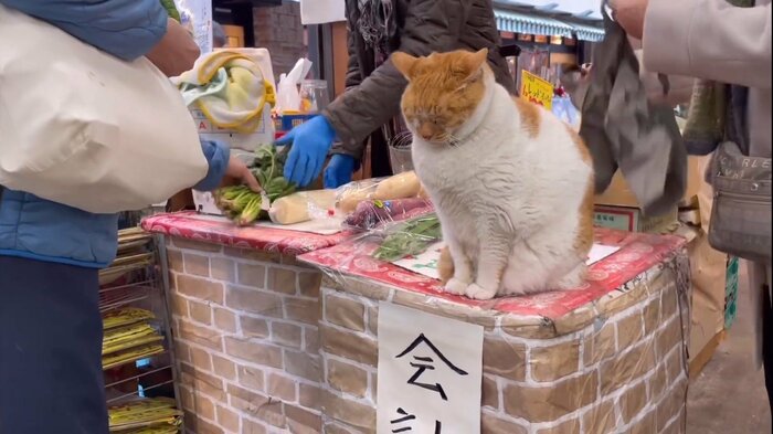 接客中の様子