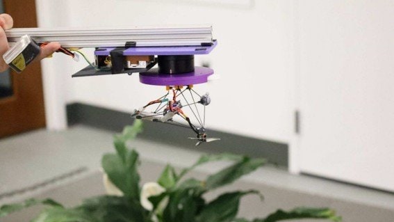 発進直前のドローン試験機（撮影：マイケル・ルーベンスタイン/ノースウェスタン大学）