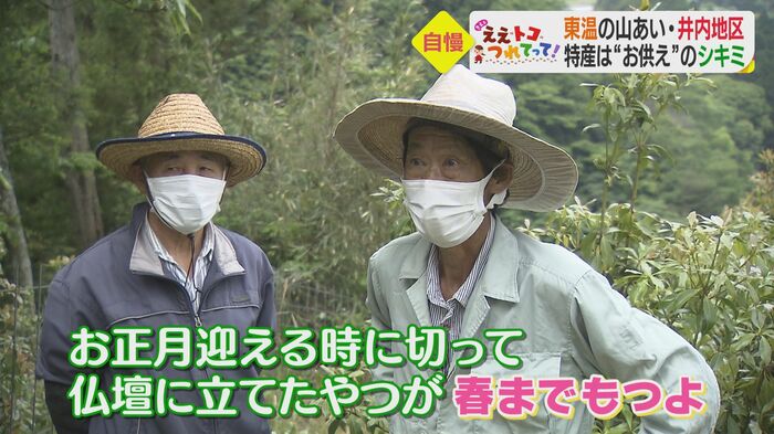 シキミ農家の甘井邦博さん(左)と角谷茂昭さん(右)