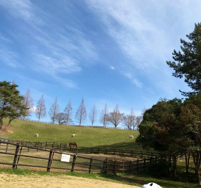 豊田市鞍ケ池公園の様子(提供:ぽさん)