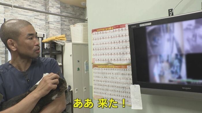 防犯カメラの映像を確認する『もりまつ動物病院』（福岡･飯塚市）の森松大智 院長