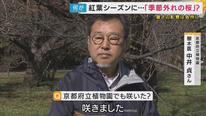 京都府立植物園樹木医 中井貞さん
