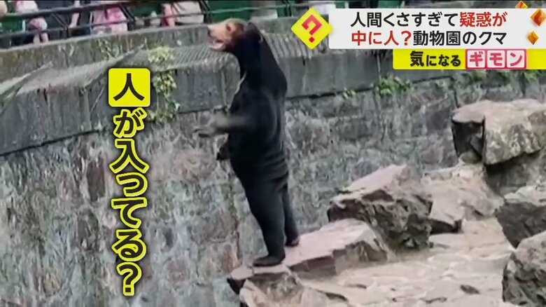 「中に人入ってる？」人間くさすぎるクマに“着ぐるみ疑惑”!?　動物園「私はマレーグマ」と代わりに回答　中国｜FNNプライムオンライン