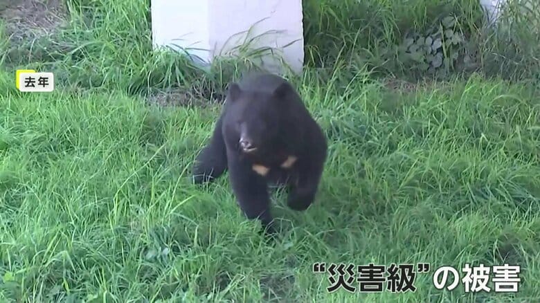 雪山を動く“黒い物体”　冬眠明けの「クマ」早くも各地で目撃や人的被害も　岩手県は3月では初の「出没注意報」発表｜FNNプライムオンライン