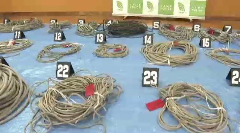 農業用ハウスから約370万円相当の銅線盗んだ疑い　20代男4人が30件の犯行に関与「遊ぶ金欲しかった」　せん定ばさみで切断し持ち去る　福岡｜FNNプライムオンライン