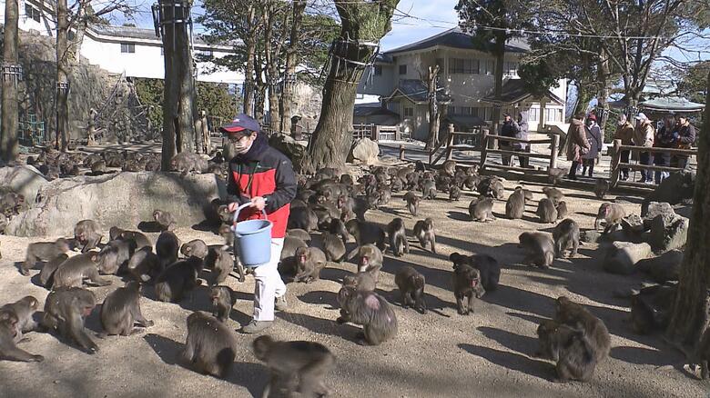大分の人気観光スポット「高崎山」でサルの個体数調査　ピーク時の1995年には2100匹以上が生息も　現在は？｜FNNプライムオンライン