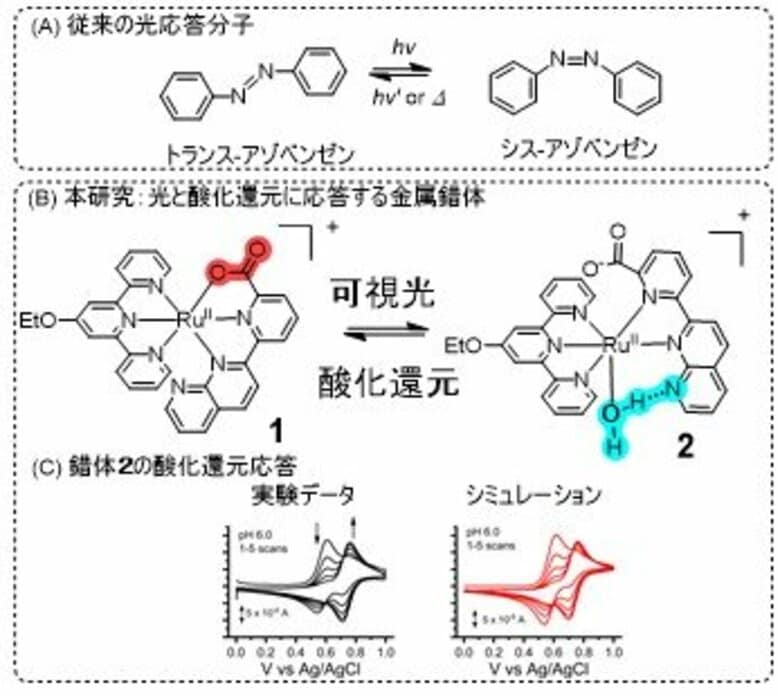 【大阪工業大学】光と酸化還元に応答する分子明らかに