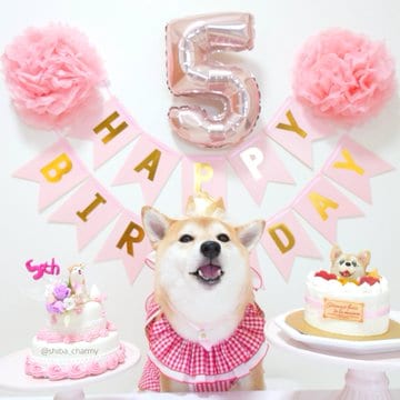 18日 ケーキと一緒に5歳の誕生日の記念撮影