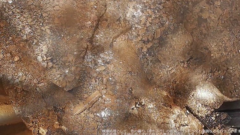 2号機の中の堆積物 完全に固まっているように見える場所も(提供:東京電力)