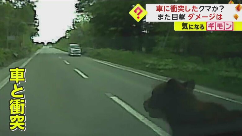 (視聴者撮影)