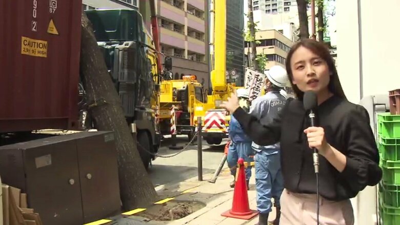 街路樹倒れトラックにあたる