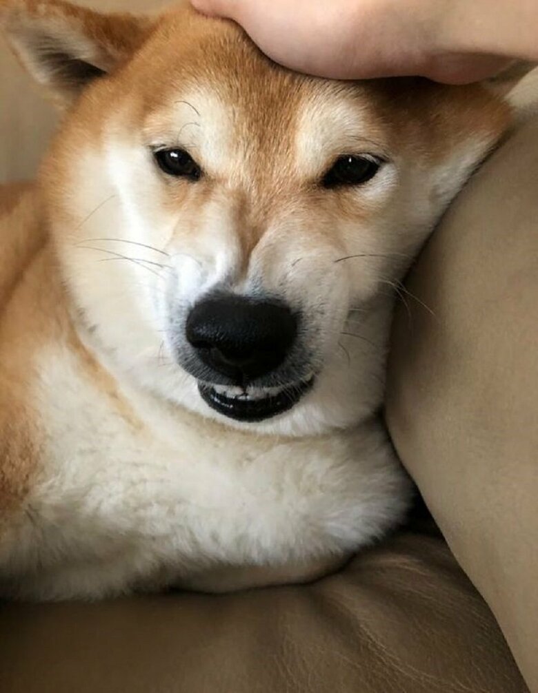 ちょっと怒っている？