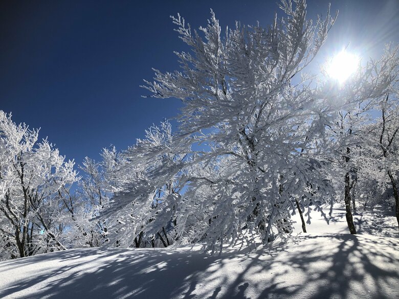晴天時の銀杏峰