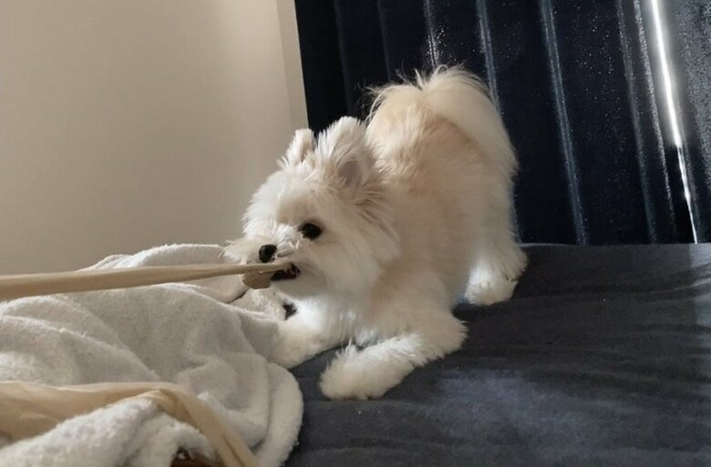 ストッキング伝線する理由