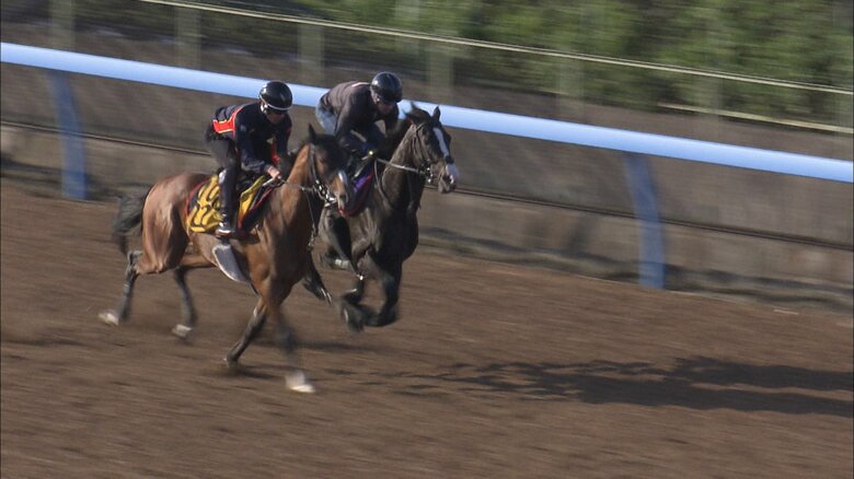 イクイノックスの追い切り