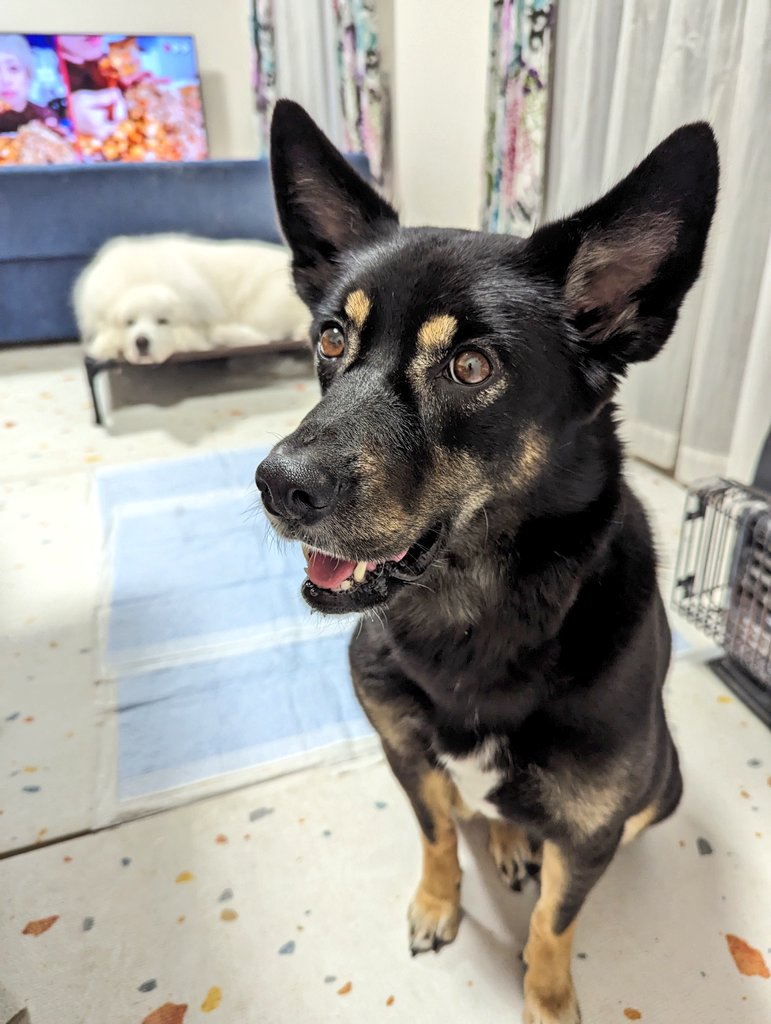 ソラちゃんと奥にいる陸ちゃん