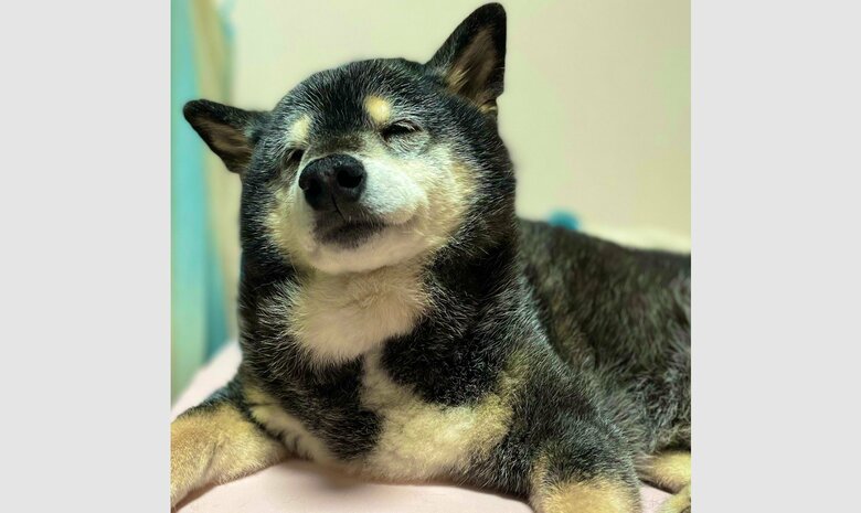 フニャフニャな日々を送っているという