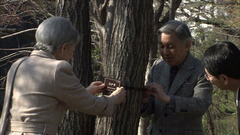 平成21（2009）年3月 樹木に名札をつけられる上皇ご夫妻