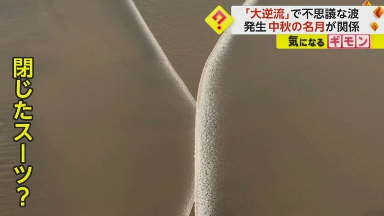 閉じたスーツのような波