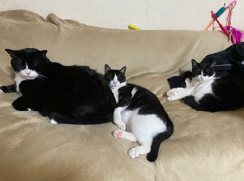 左から凛くん、空くん、静ちゃん