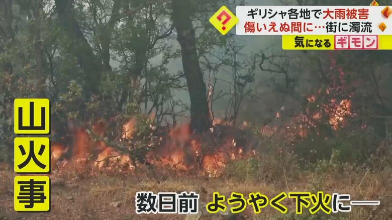 ギリシャでは数日前まで、山火事が起きていた