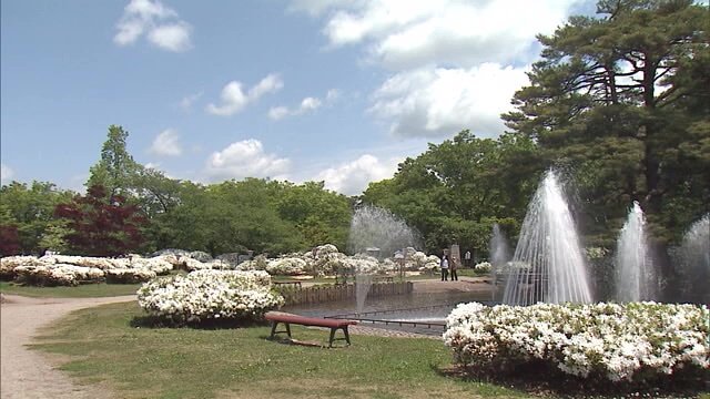 白つつじ公園