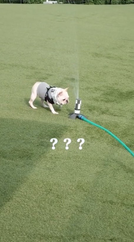 提供：むぎさん