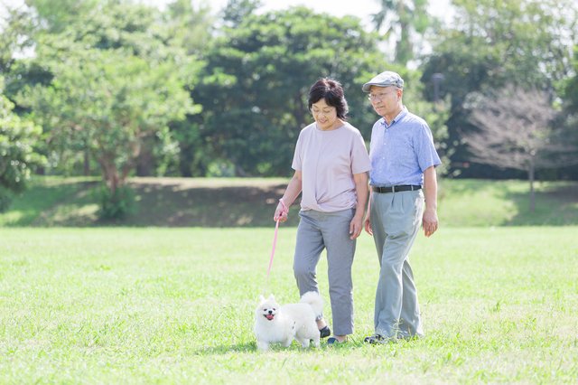 （画像はイメージ）