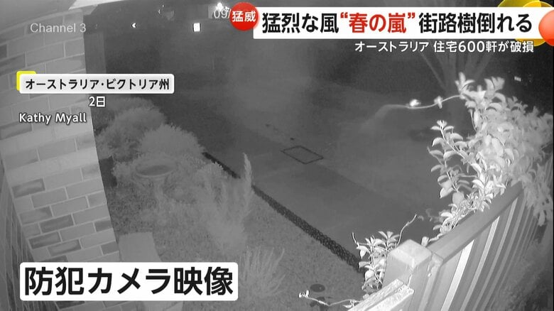 街路樹がなぎ倒される様子をとらえた防犯カメラ