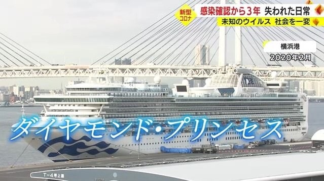 ダイヤモンド・プリンセス（2020年2月）