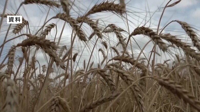先行きが不透明なウクライナ産穀物の輸出