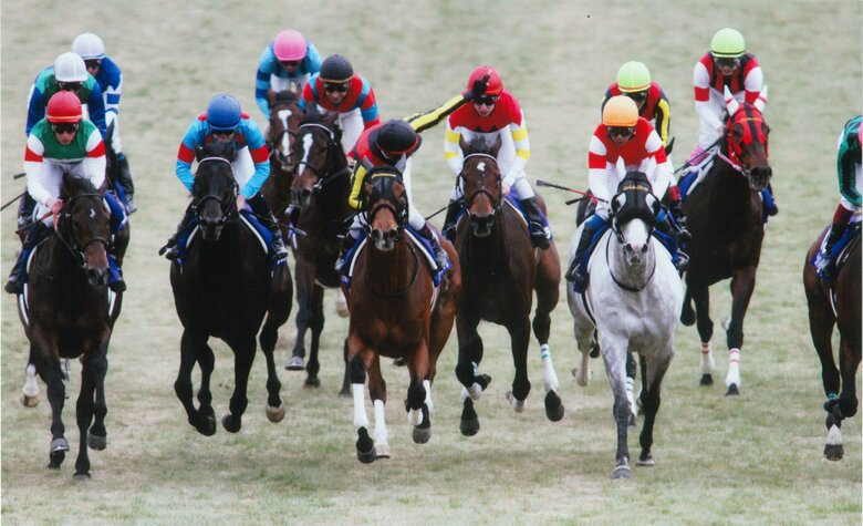 2014年（2枠4番）ジェンティルドンナ（戸崎圭太）