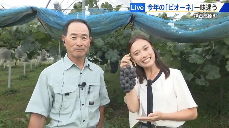 神石高原ぶどう部会・前原孝史部会長と辰巳キャスター