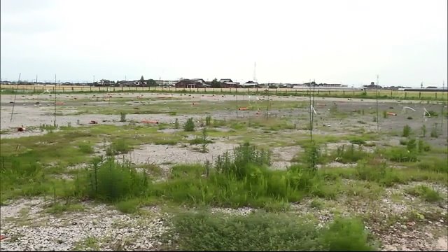 「コアジサシ」が飛来した浄水場跡地