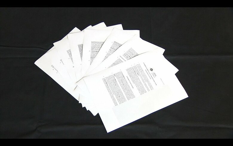 FNNが入手したARF議長声明案