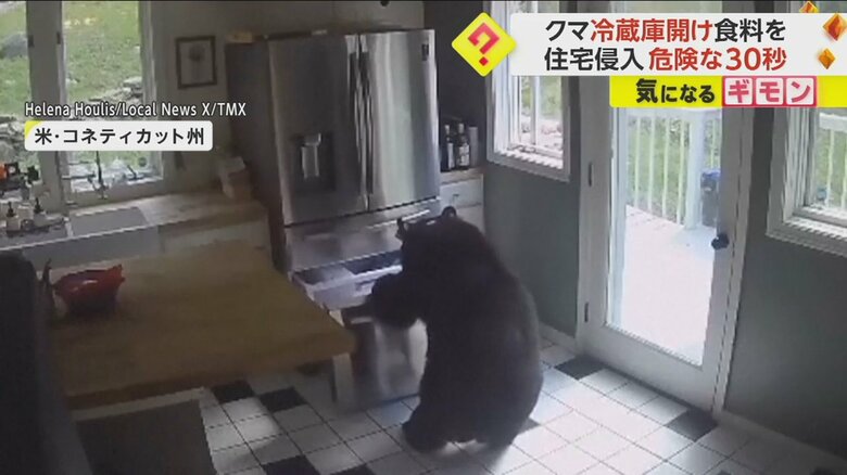 クマが冷蔵庫を器用に開け、食べ物をくわえる様子⑤