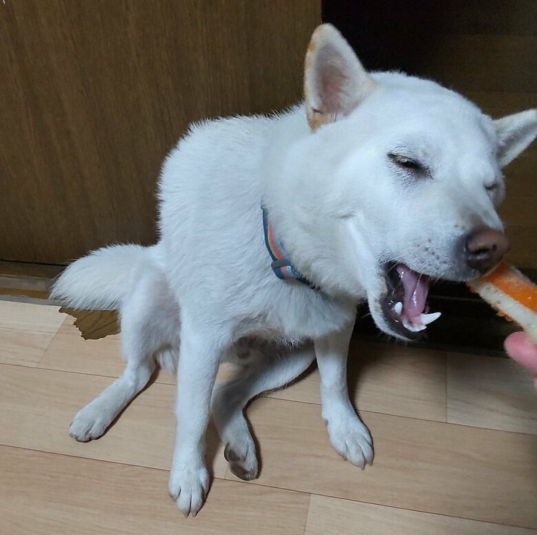 だらしない座り方にやる気のないかみ方