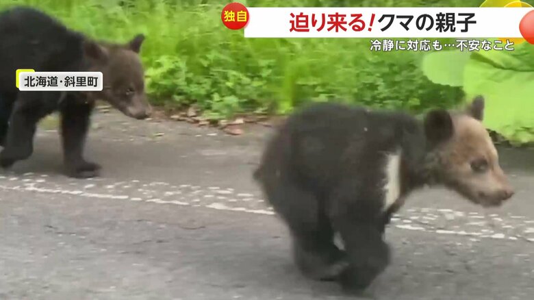 約1mの距離をそのまま通過していったクマの親子
