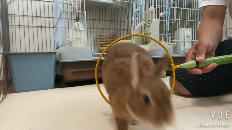 ひょいっと簡単に