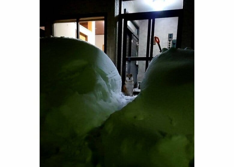 提供：あおとはなさん