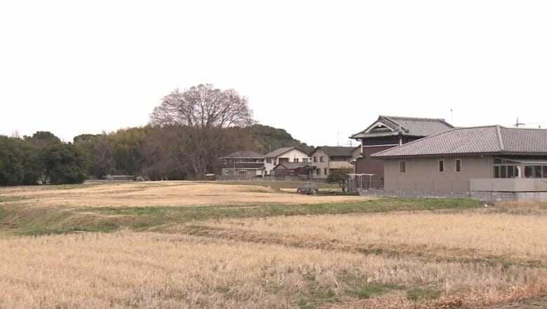 平城宮跡の北側「佐紀古墳群」近く