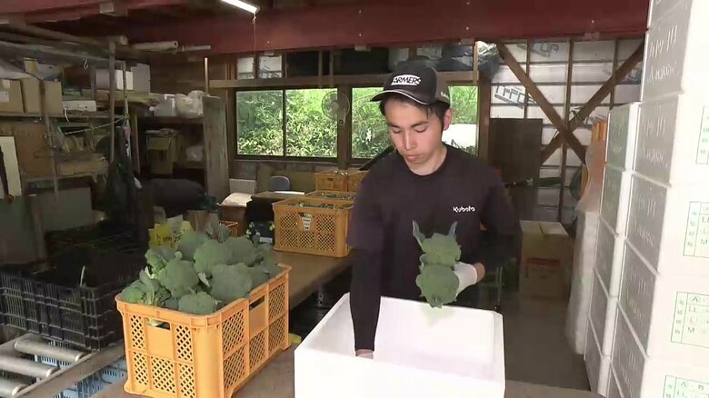 出荷作業をする久保田さん