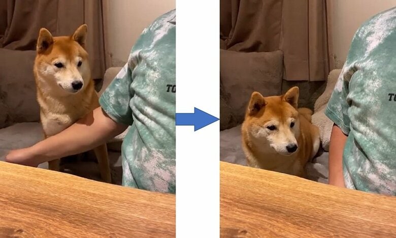 「お座り」からもう1回披露