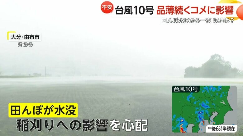 稲刈りへの影響を心配していた田んぼの水没に見舞われた米農家