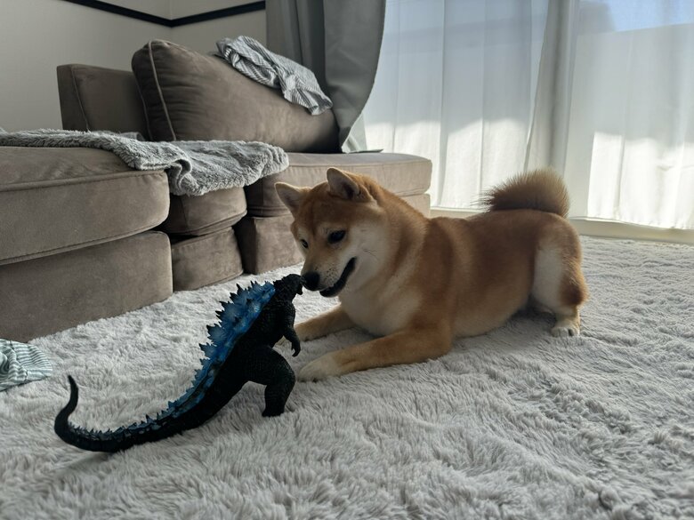 提供：わさび一族さん