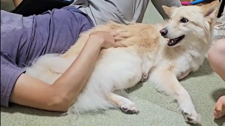 その後、つるちゃんも可愛がられて満足気だった