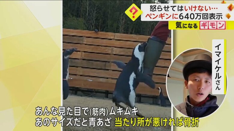 （劇団ペンターズ イマイケルさん提供）