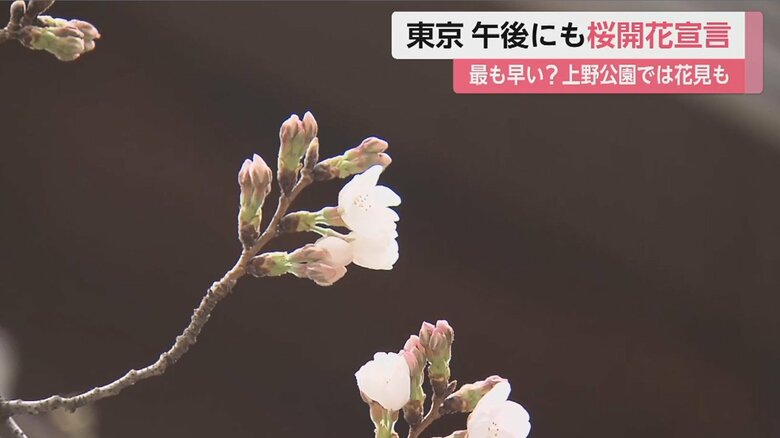 靖国神社の桜の様子（14日午前 東京･千代田区）