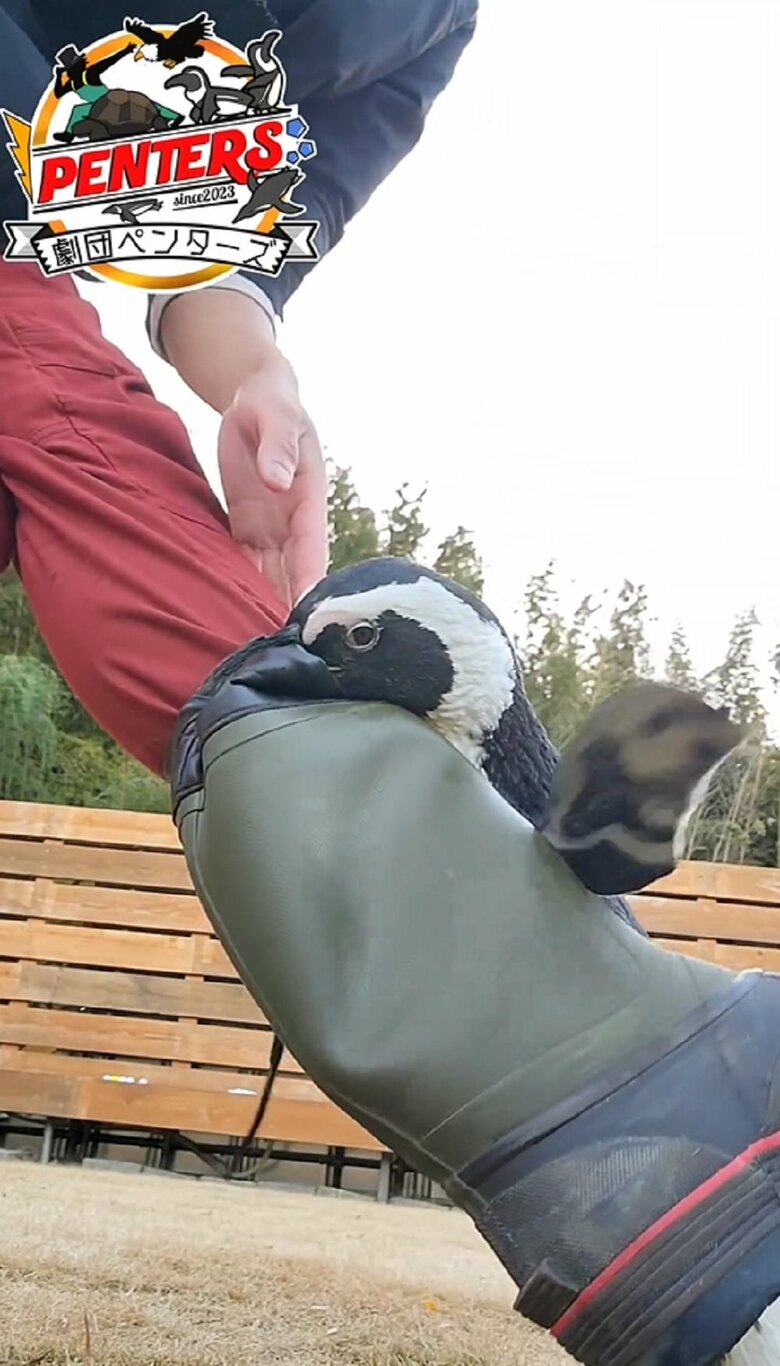 離さずに叩き続ける